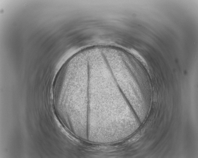 X0000061111287200512091808