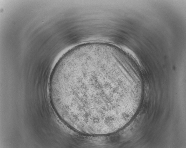 X0000061111288200512091808