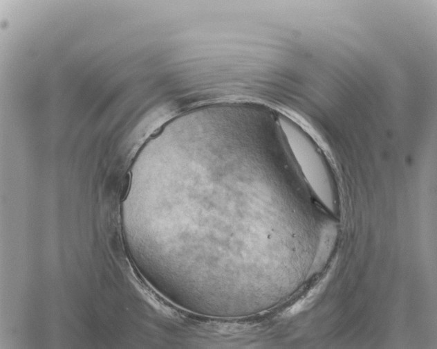 X0000061111289200512091808