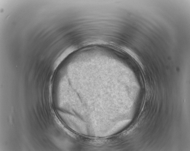 X0000061111290200512091808