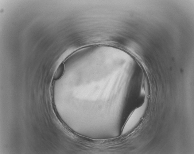 X0000061111291200512091808