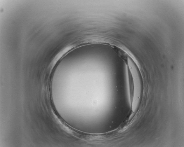 X0000061111293200512091807