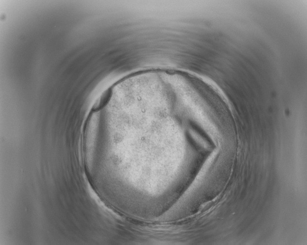 X0000061111295200512091807