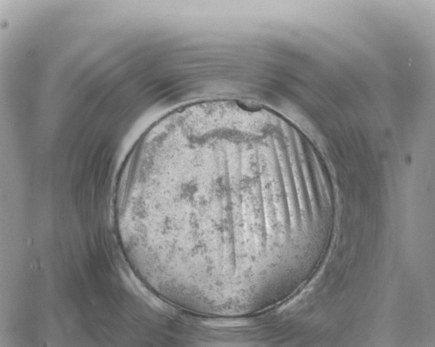 X0000061111296200512091807