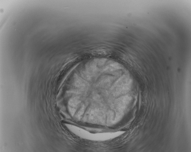 X0000061111297200512091807