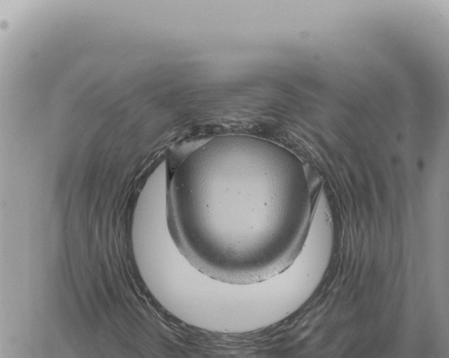 X0000061111298200512091807