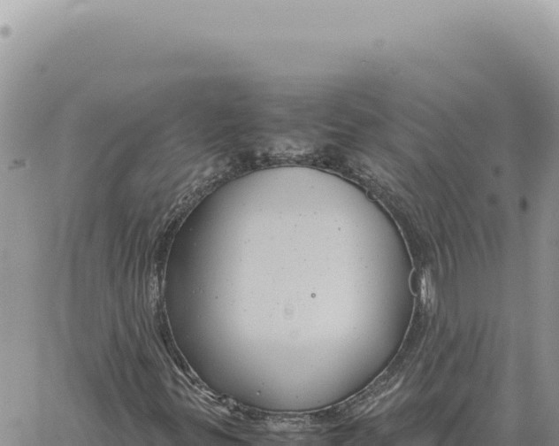 X0000061111299200512091807