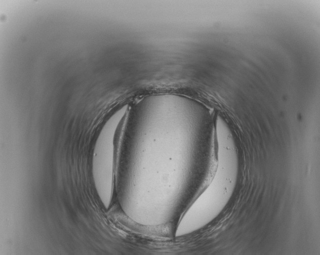 X0000061111300200512091807