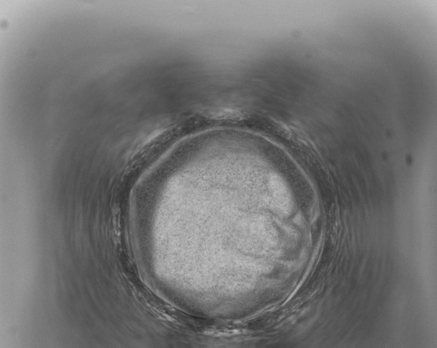 X0000061111301200512091807