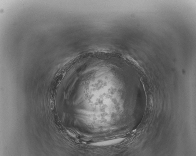 X0000061111303200512091807