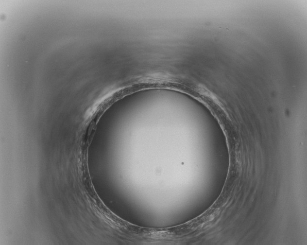 X0000061111304200512091807