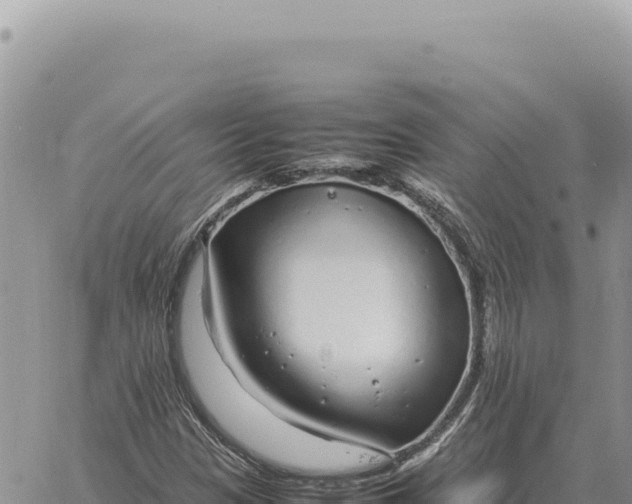 X0000061111305200512091807