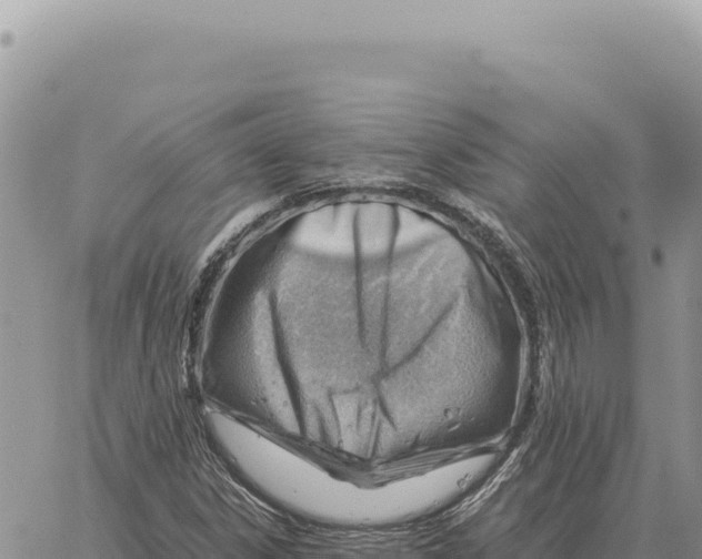 X0000061111306200512091807