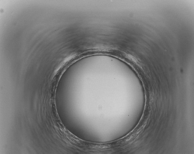 X0000061111307200512091807