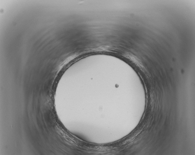 X0000061111308200512091807