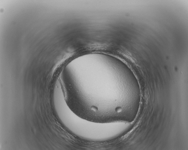 X0000061111309200512091807