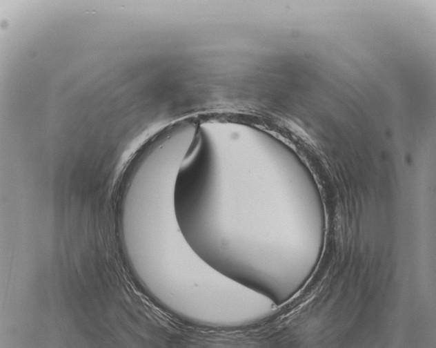 X0000061111310200512091807