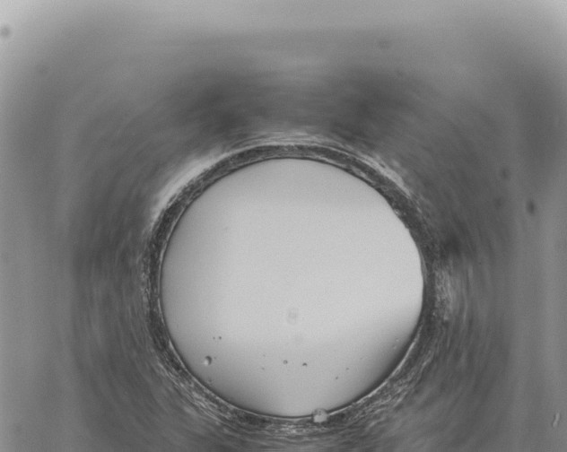 X0000061111311200512091807