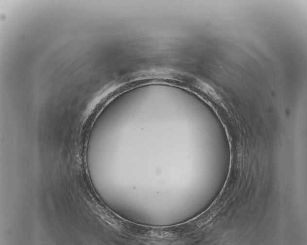 X0000061111312200512091807