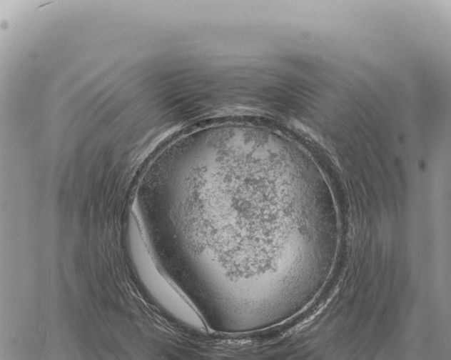 X0000061111313200512091807