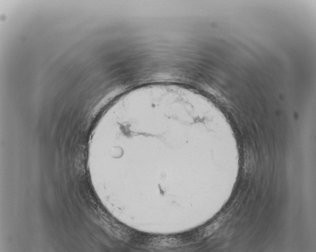 X0000061111314200512091807