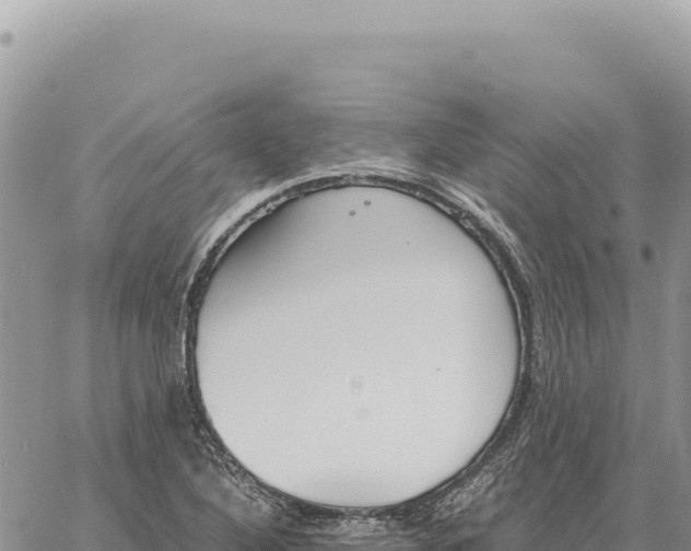 X0000061111316200512091807