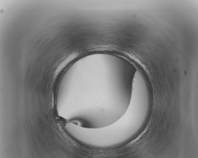 X0000061111317200512091807