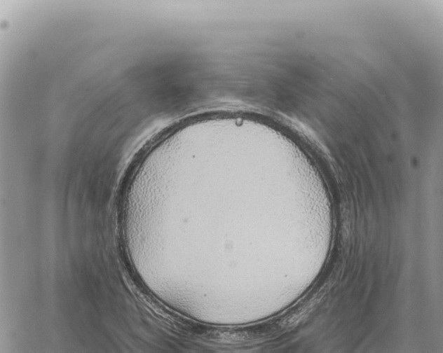 X0000061111318200512091807