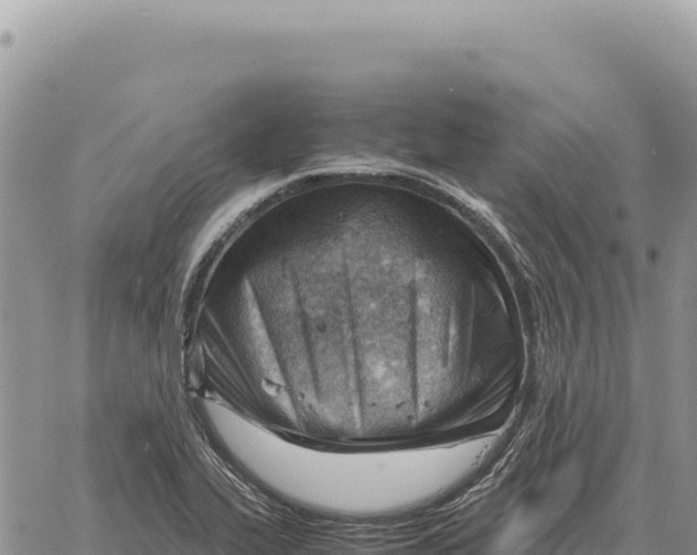 X0000061111319200512091807