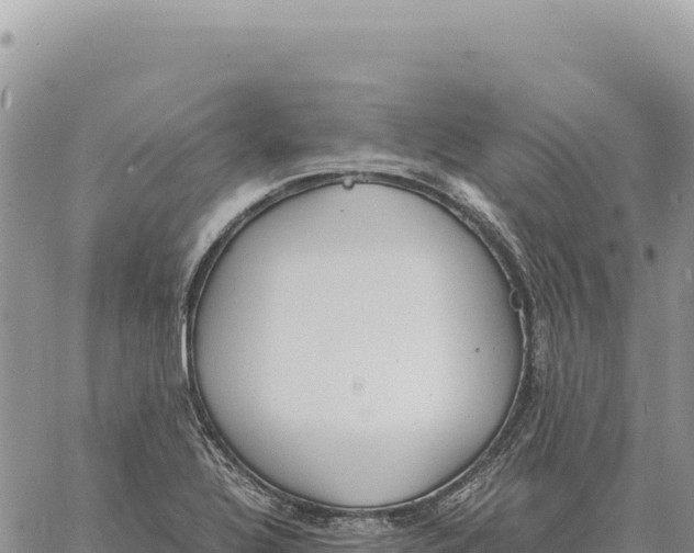 X0000061111320200512091807