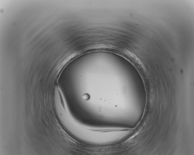 X0000061111321200512091807