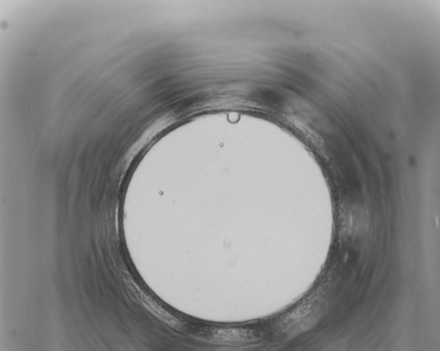 X0000061111322200512091807