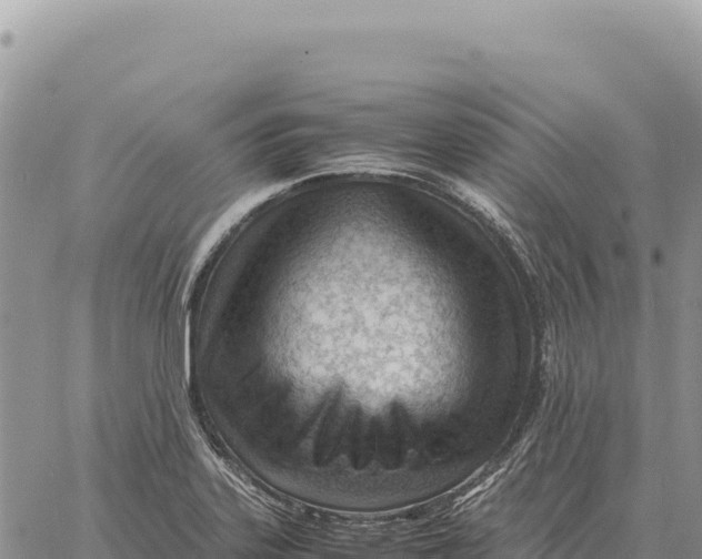 X0000061111323200512091807