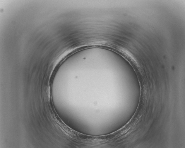 X0000061111324200512091807