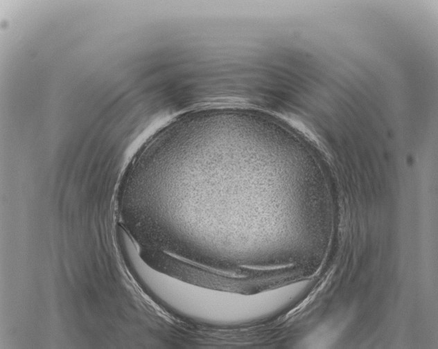 X0000061111325200512091807