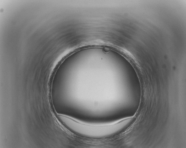 X0000061111326200512091807