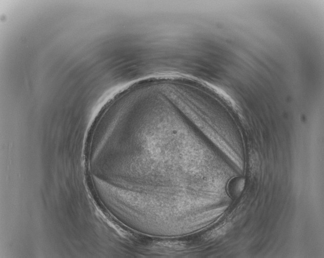 X0000061111327200512091807