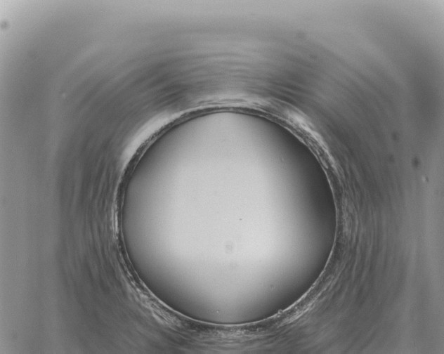 X0000061111328200512091807