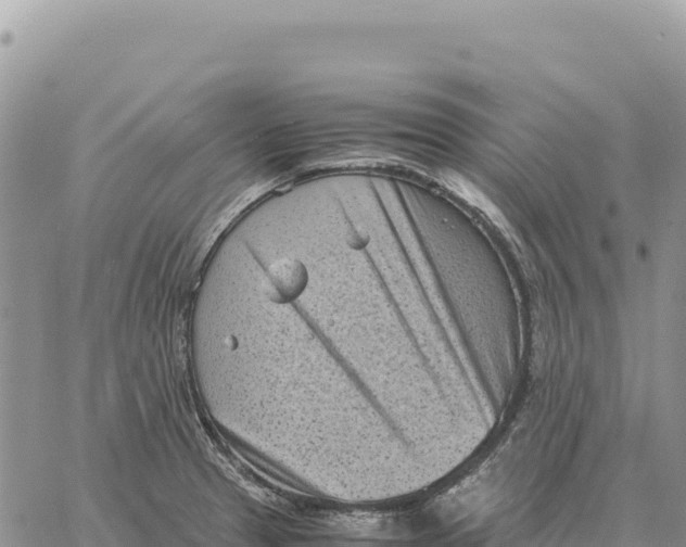 X0000061111329200512091807