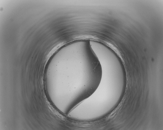 X0000061111330200512091807