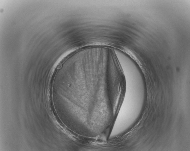 X0000061111331200512091807