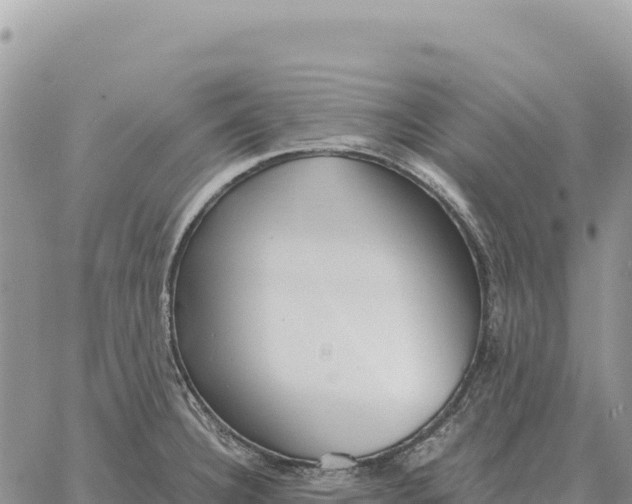 X0000061111332200512091807