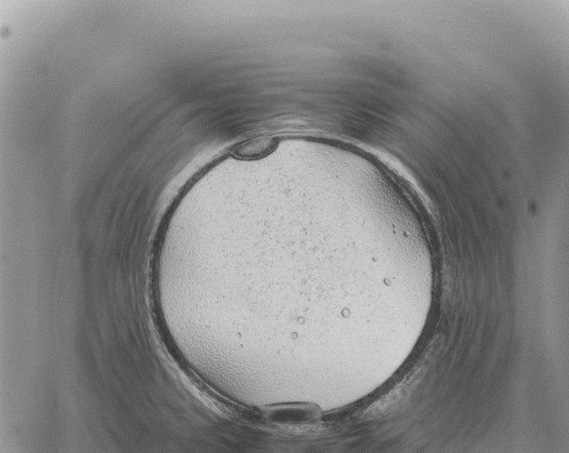 X0000061111333200512091807