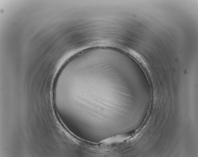 X0000061111334200512091807