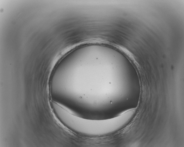 X0000061111335200512091807