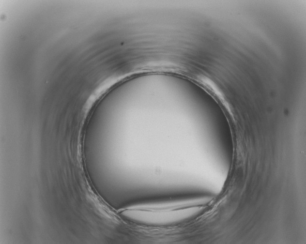 X0000061111336200512091807