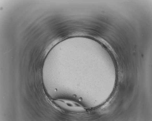 X0000061111337200512091807