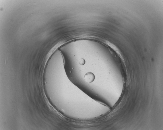 X0000061111338200512091807