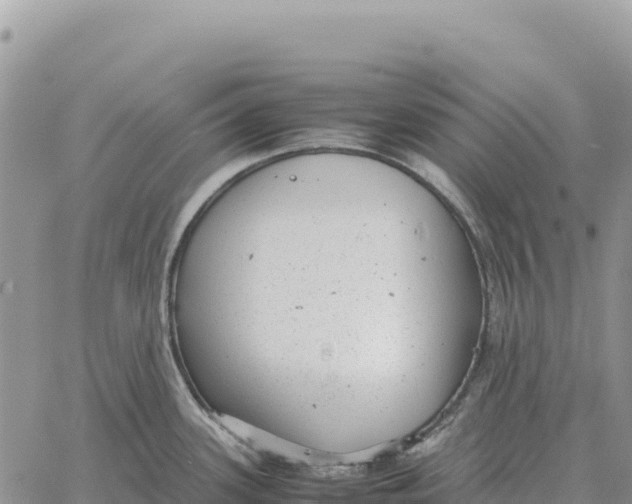 X0000061111339200512091807