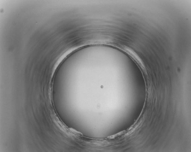 X0000061111340200512091807